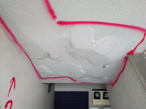 上裏に・・・ 本文画像